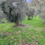 Casa Elena * Manciano
